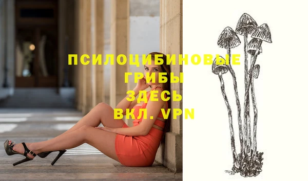 наркотики Гусиноозёрск