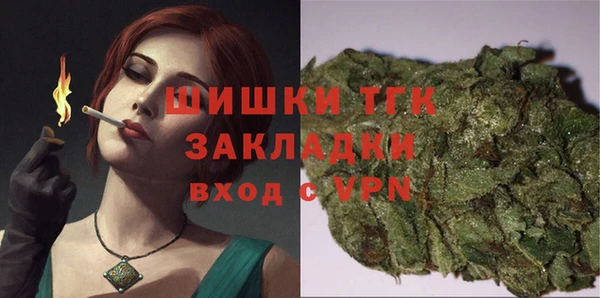 экстази Гусев