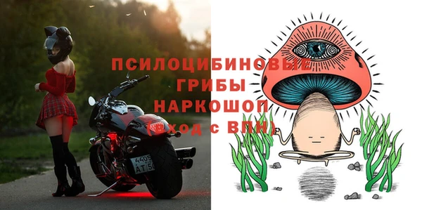 экстази Гусев