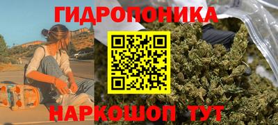 каннабис Гусиноозёрск
