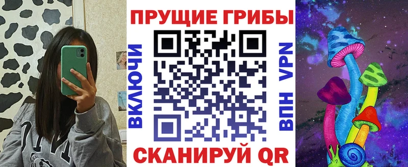 дарк нет состав  Осинники  Псилоцибиновые грибы ЛСД 