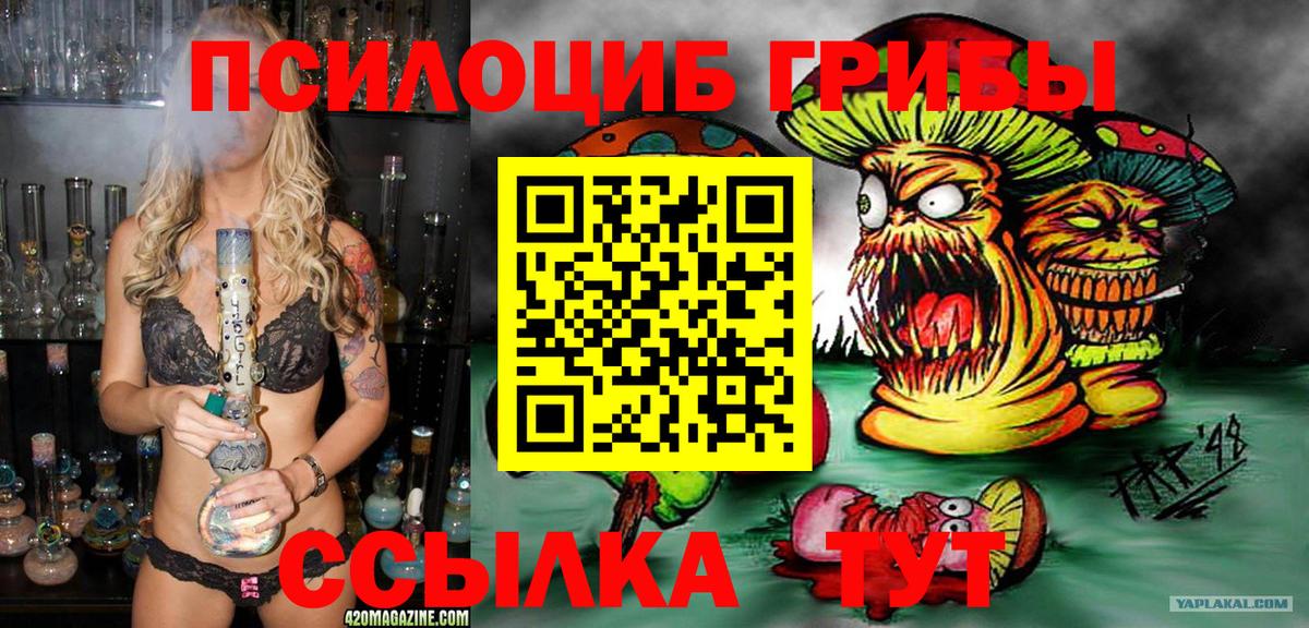 Галлюциногенные грибы мухоморы Осинники