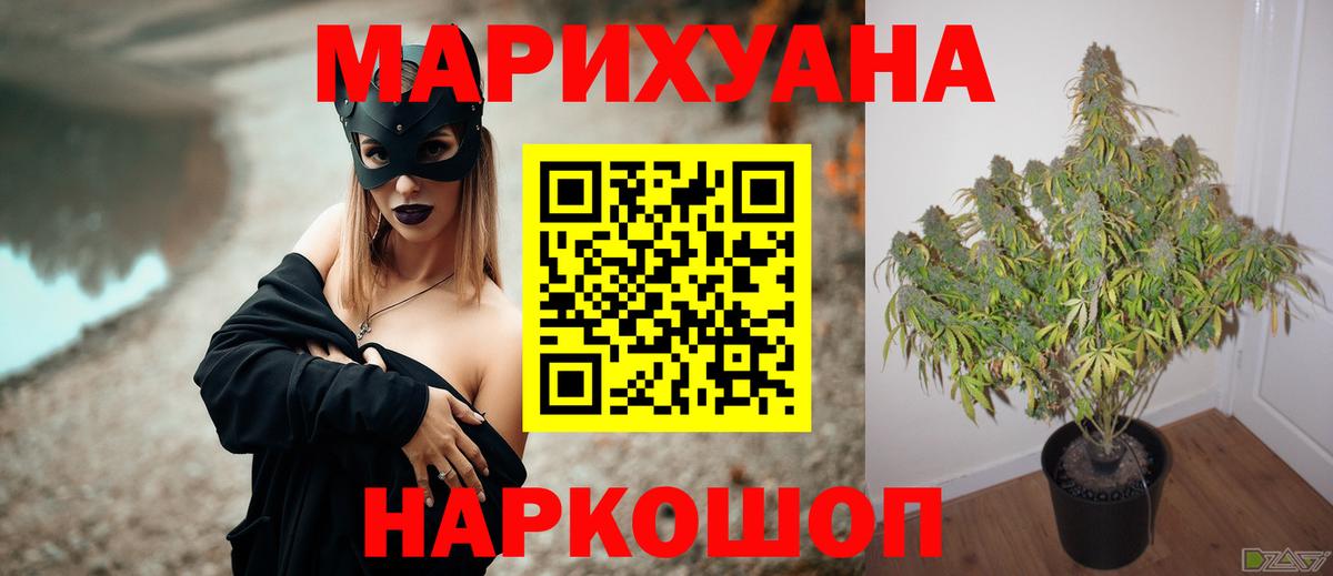 Марихуана сатива  Вход с VPN  Осинники  Бошки Шишки SATIVA & INDICA  Марихуана индика  МАРИХУАНА Bruce Banner 